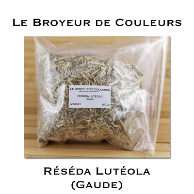Réséda Lutéola (Gaude)
