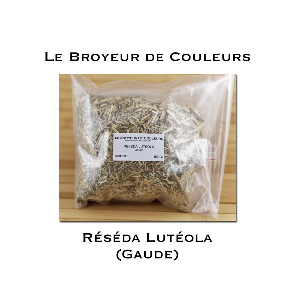 Réséda Lutéola (Gaude)