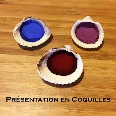 Présentation en Coquillages