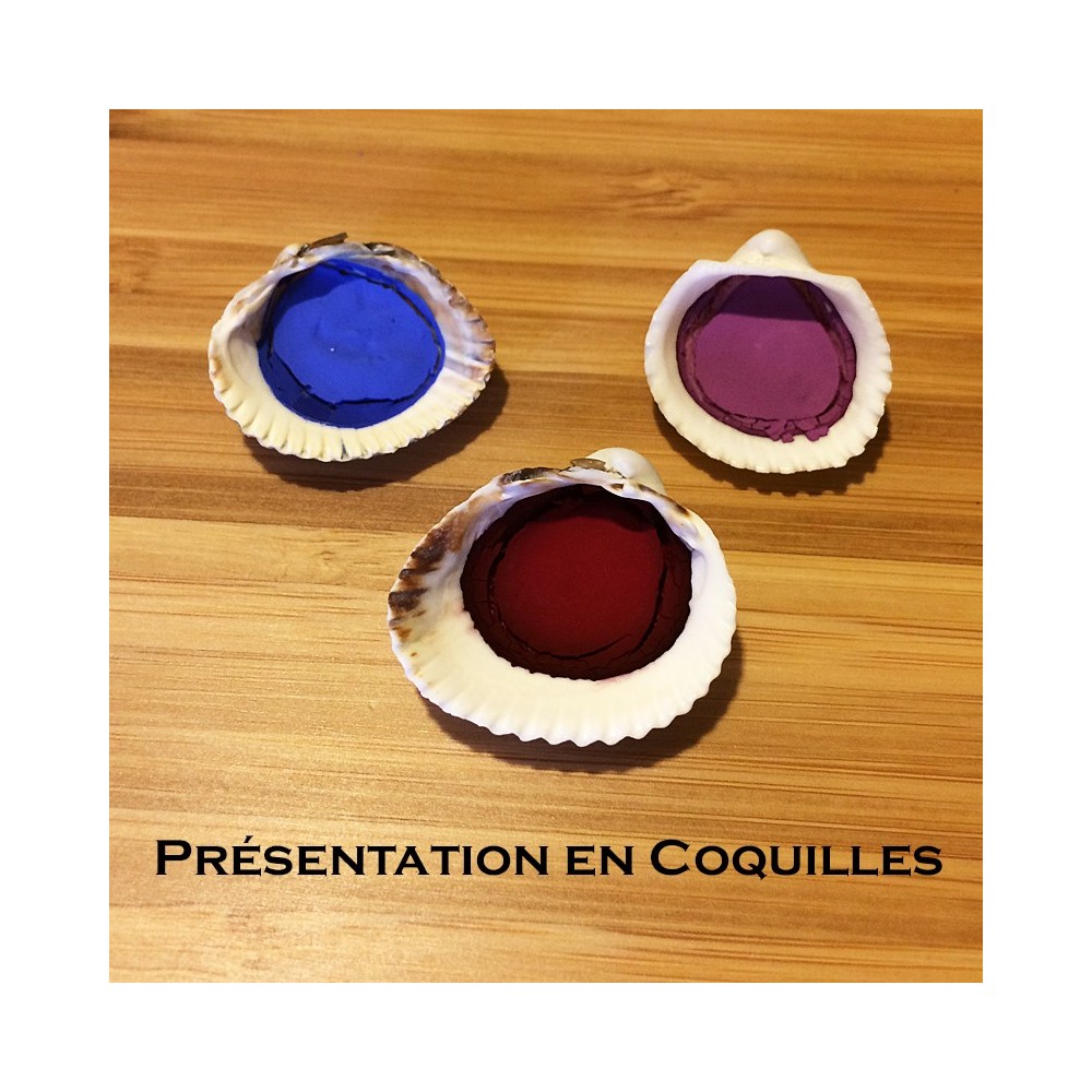 Présentation en Coquillages