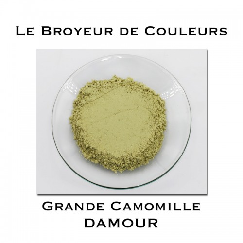 Pigment DAMOUR - Grande Camomille