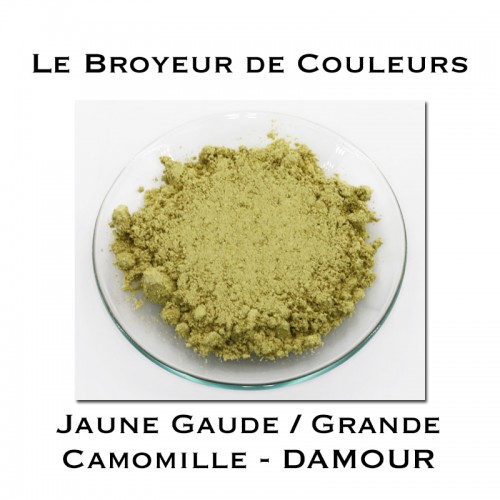 Pigment DAMOUR - Jaune Gaude/Grande Camomille