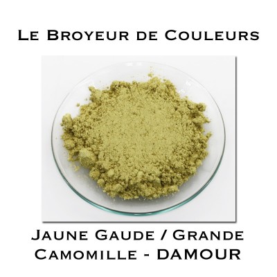 Pigment DAMOUR -  Jaune Gaude/Grande Camomille