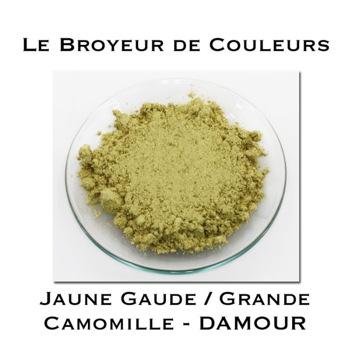 Pigment DAMOUR -  Jaune Gaude/Grande Camomille