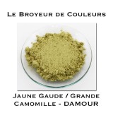 Pigment DAMOUR -  Jaune Gaude/Grande Camomille