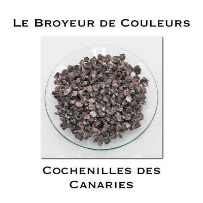Cochenilles des Canaries