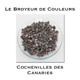 Cochenilles des Canaries