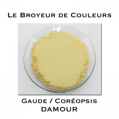 Pigment DAMOUR - Gaude + Coréopsis
