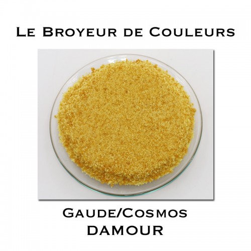 Pigment DAMOUR - Gaude + Cosmos