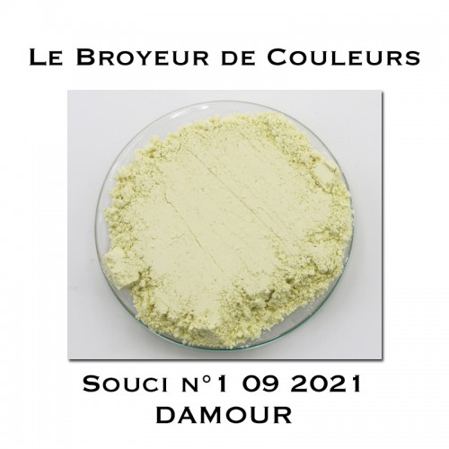 Pigment DAMOUR - Souci N°1 09 2021