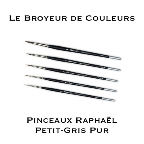 Pinceaux Raphaël Petit-Gris - Pur - 8383