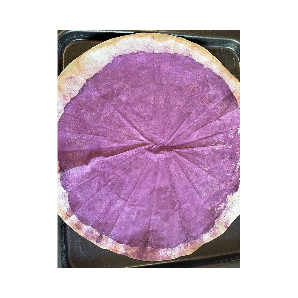 Filtres Plissés - Papier Standard - 330 ou 400 mm - Lot de 5