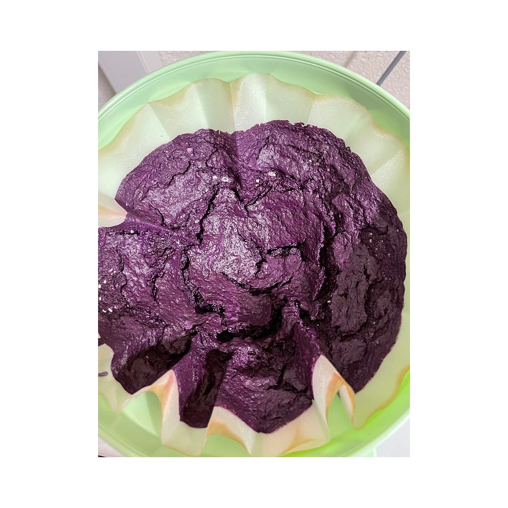 Filtres Plissés - Papier Standard - 330 ou 400 mm - Lot de 5