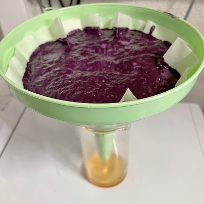 Filtres Plissés - Papier Standard - 330 ou 400 mm - Lot de 5