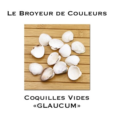 Lot de Coques Vides - GLAUCUM