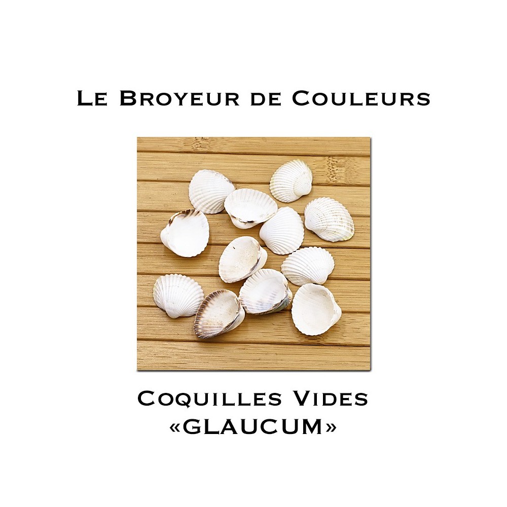 Lot de Coques Vides - GLAUCUM