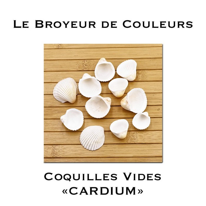 Lot de Coques Vides - CARDIUM