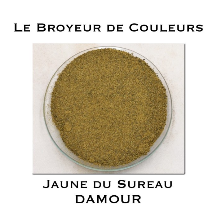 Jaune de Sureau - Jaune de Sureau