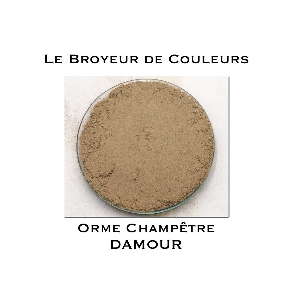 Pigment DAMOUR - Orme Champêtre
