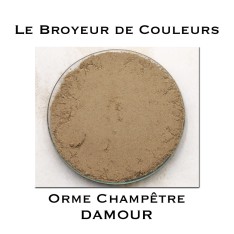 Pigment DAMOUR - Orme Champêtre