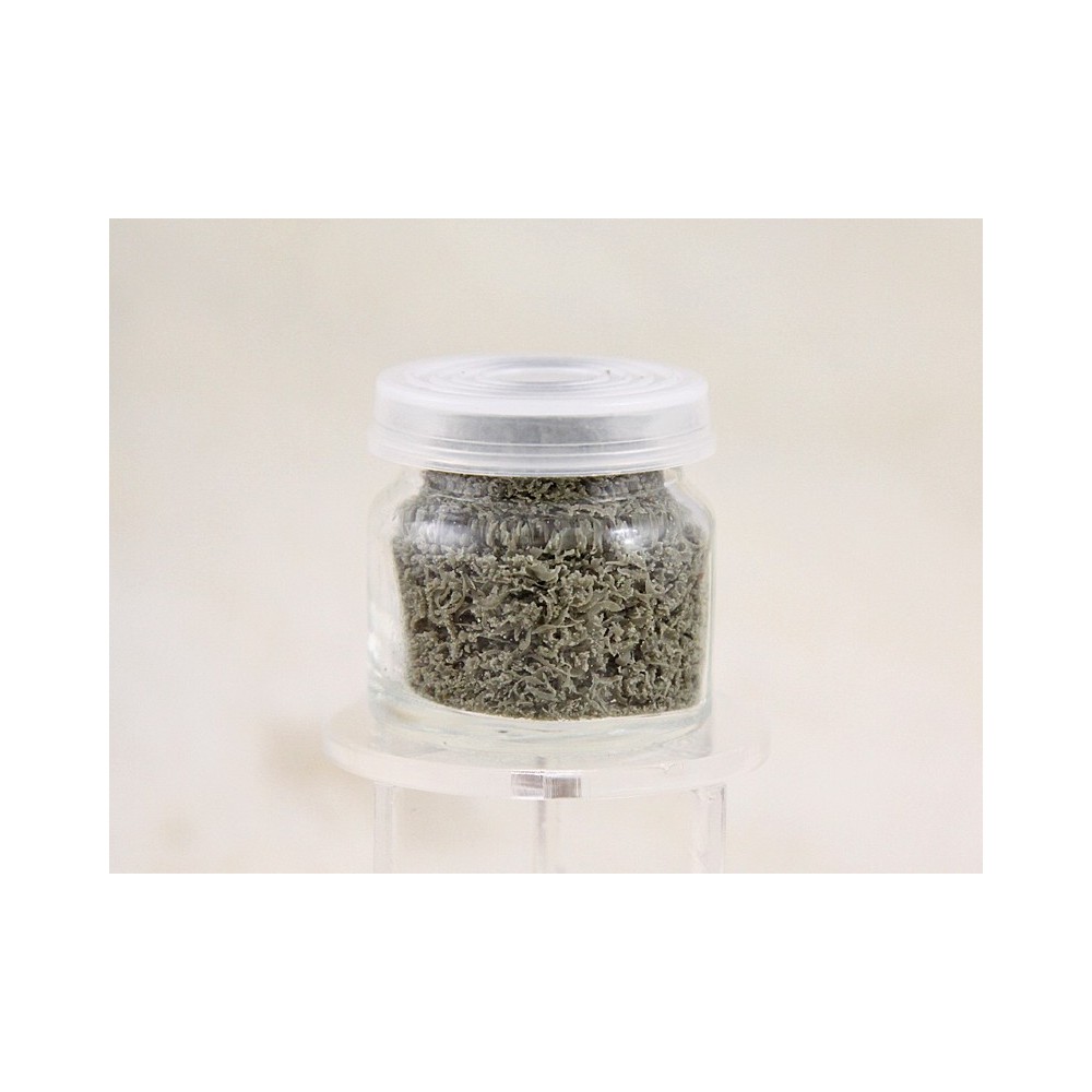 Savon doux pour pinceaux