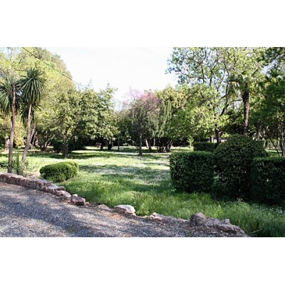 Cours de Calligraphie sur La Crau (83 - Var)