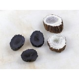 Bois de Cerf Brut et Calciné