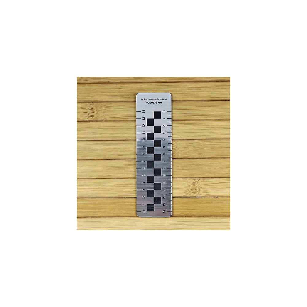 Règles Spéciales Calligraphie