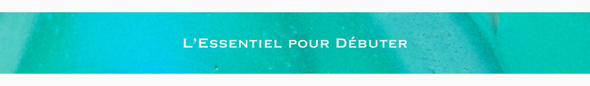 L'essentiel pour l'enluminure